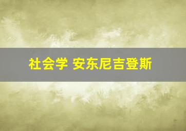 社会学 安东尼吉登斯